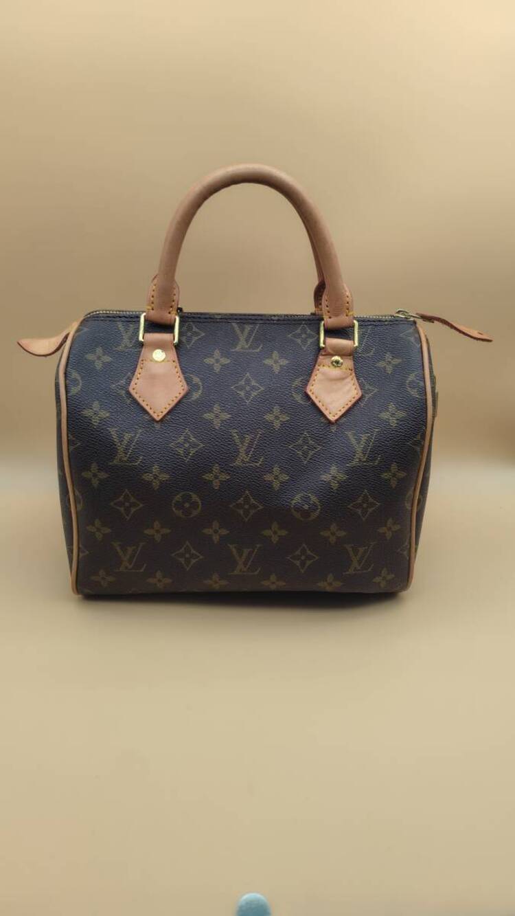 Louis Vuitton Boston Bag Speedy Leather Monogram Handbag Brown